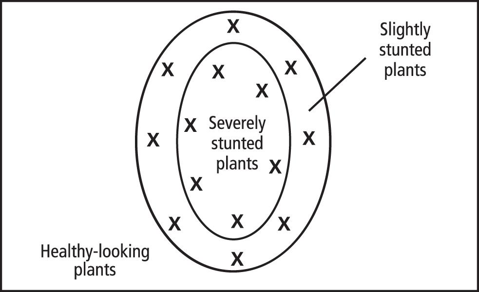 Pattern for sampling problem areajpg
